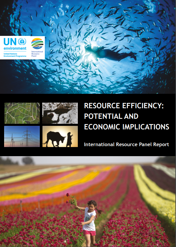 Resource Effciency - Potential and Economic Implications IRP Report
