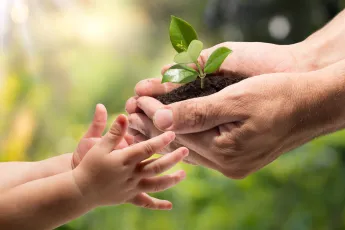 Picture: Shutterstock