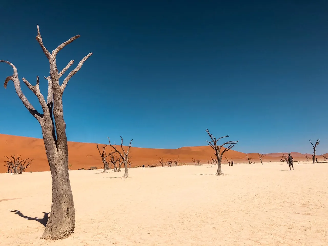 IRP Land Degradation Photo by Jessie Crettenden from Pexels