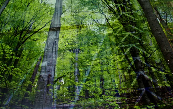 Taking action for nature