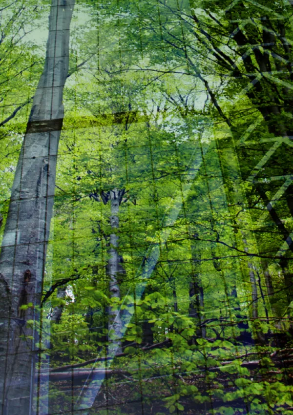 Taking action for nature